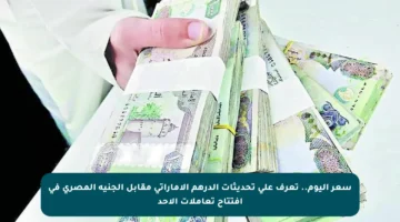 سعر اليوم.. تعرف على تحديثات الدرهم الإماراتي مقابل الجنيه المصري في افتتاح تعاملات الأحد